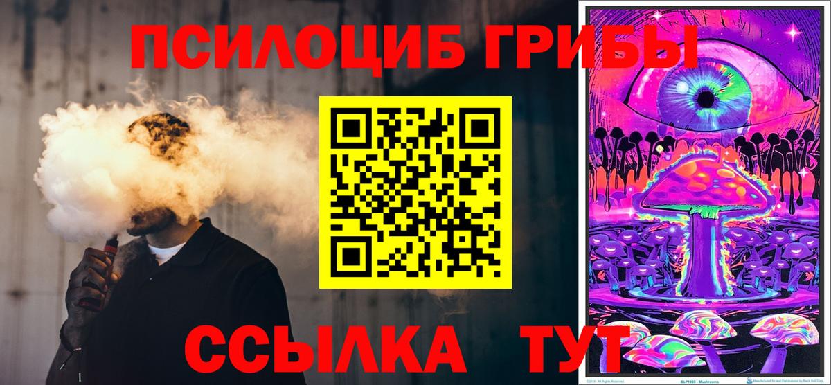 Вязники  Галлюциногенные грибы Psilocybine cubensis  Вход с VPN  Псилоцибиновые грибы Magic Shrooms 